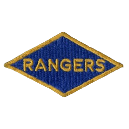 Ingame Shoulder Patch