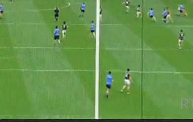 7188da91033e03593d07afd922d569f4.gif