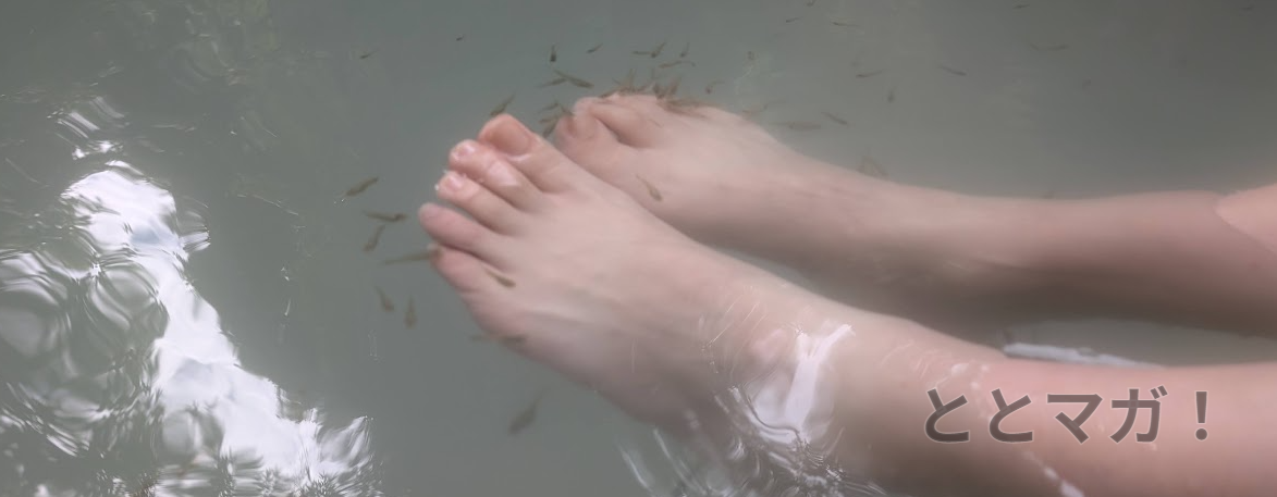 イメージ画像