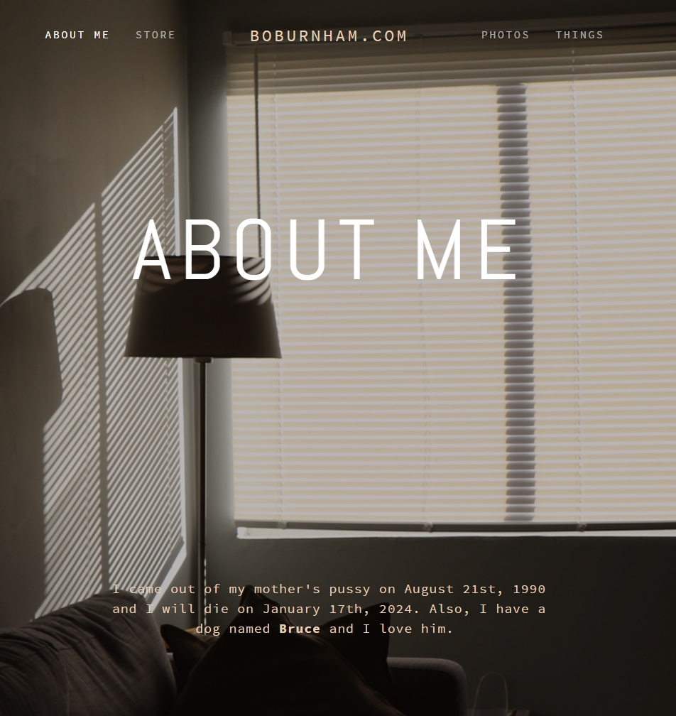 The Frontpage Of Bo Burnhams Website R Funny