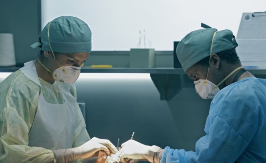 Seriale traduse in romana online