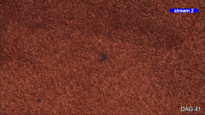 71fe4149efdb62c6ab341e25e2d65df8.gif