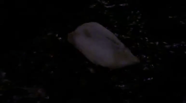 7248b63137377f0d1b40bcedb2629a40.gif
