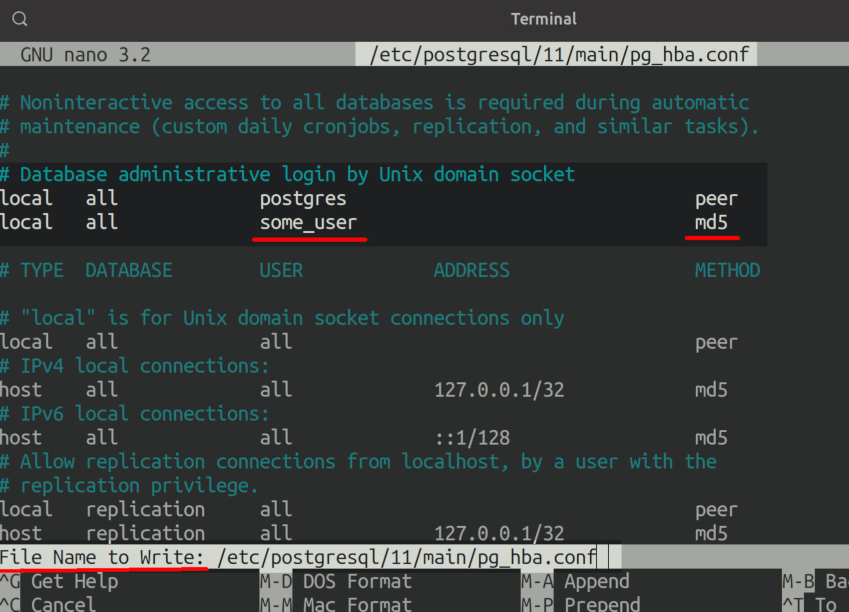 Screenshot of nano in terminal editing pg_hba conf configuration file for username md5 authentication