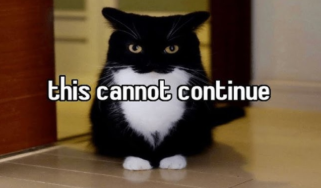 726066dd20d45f7ba958d44ceae1be96.png