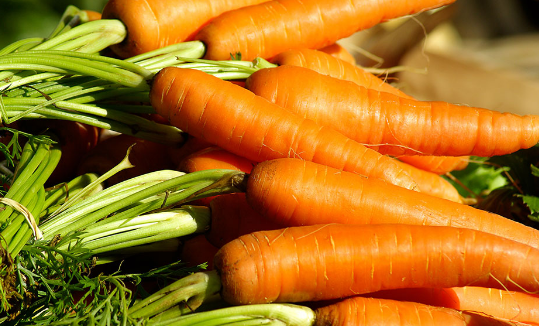 Beneficio zanahoria