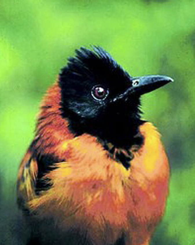 73e3f0d1b2fe46ae2559e5676219182a.png