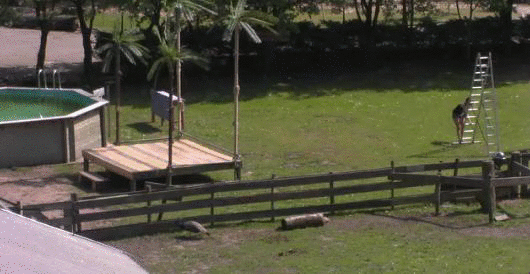 745dd6544337c6b76147cec79d6e1874.gif