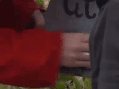 74bcd1996b2d047331b675ddbf3baeb8.gif