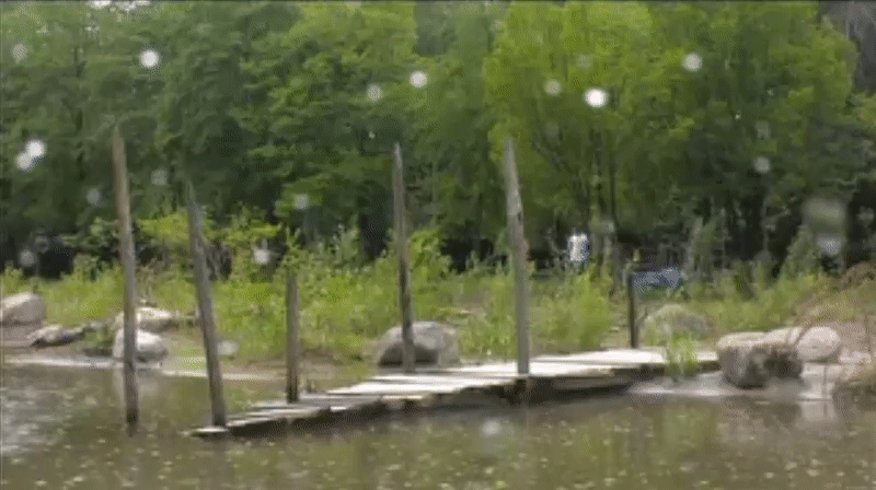 750a2372d425ac7d373eb7f2e15088ba.gif