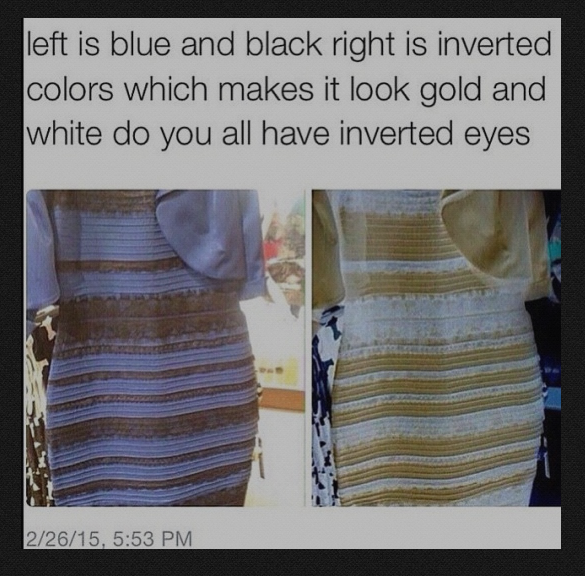 The people who think this dress is black and blue vs the people who ...