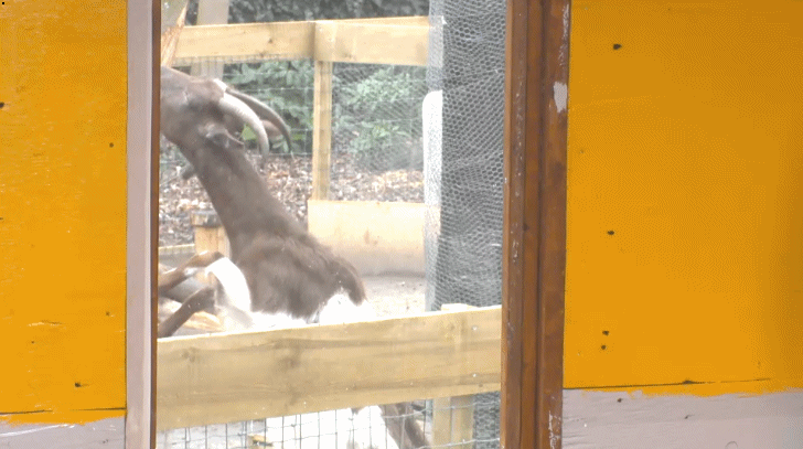 75c43d4e16782898f147ab75efaa1fa9.gif