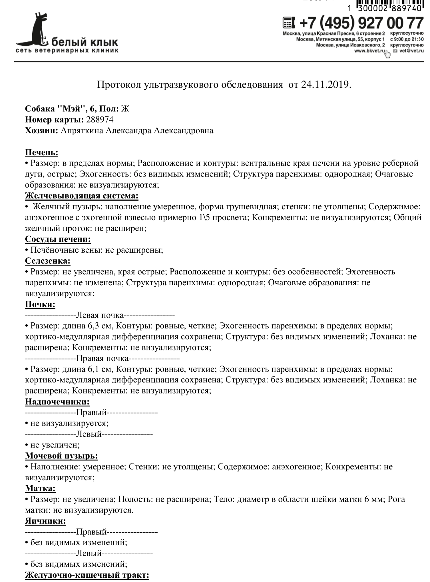 МЭЙ,10+ лет. Хрустальная ваза! Генерализованный атопик и лимфангиэктазия.  Болезнь неизлечима, прогноз осторожный... Мэй пытается жить изо всех сил!  😞 В теме минус 102 000 руб. Прошу помощи в закрытии минуса! - Страница