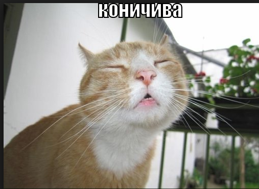 7684d9541ed5a0f09b23837f22ff068f.png