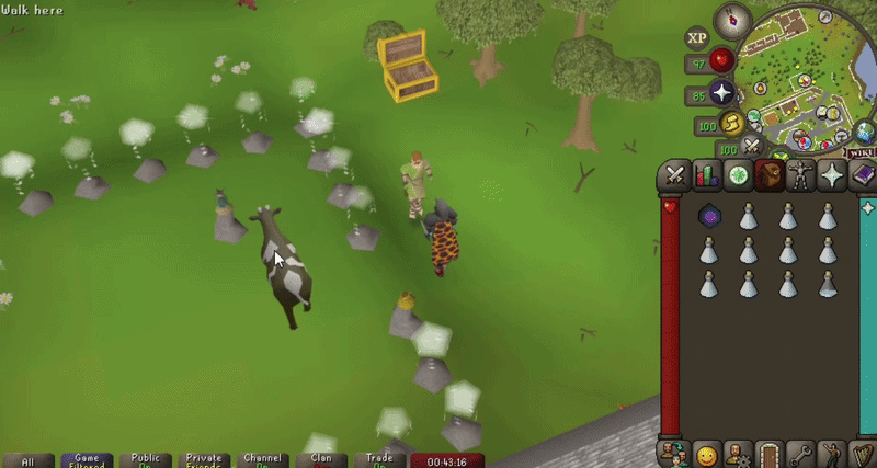 absorption potion strategy at NMZ