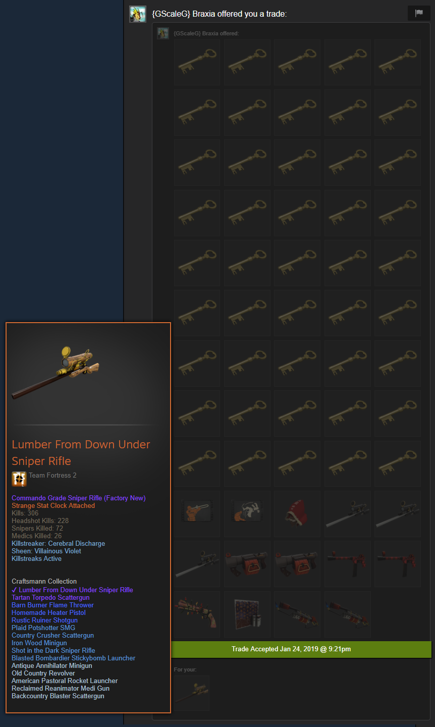 The Most Valuable Sniper Rifle in the Game Team Fortress 2