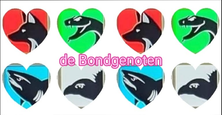 78111f30c36242e726b60de9f13bdafa.png
