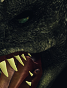 784424cf09974fdbe76277738c27d274.png