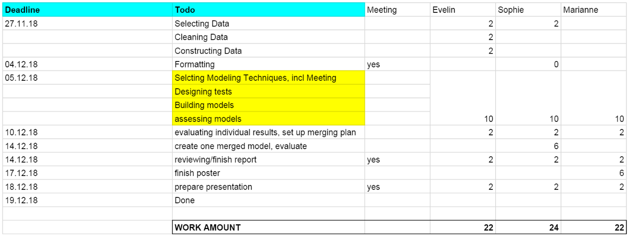 Project plan