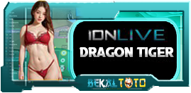 Casino Games 24D