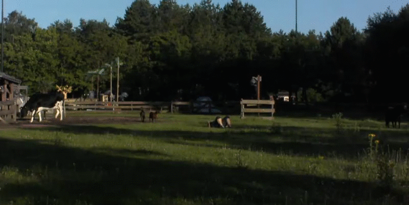 79f86c0906622ff3156016b8a52c3c90.gif