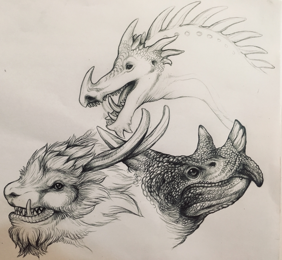 A Pageful Of Dragons School Of Dragons How To Train Your