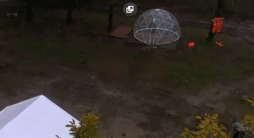 7a543ad932a447fdab3da0a80afce719.gif