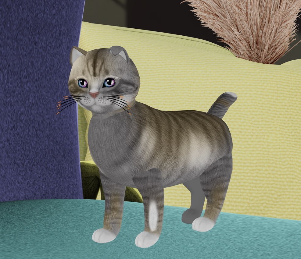 [Image: 7a66a48142bbf0974b3f2ae8deee28e6.jpg]