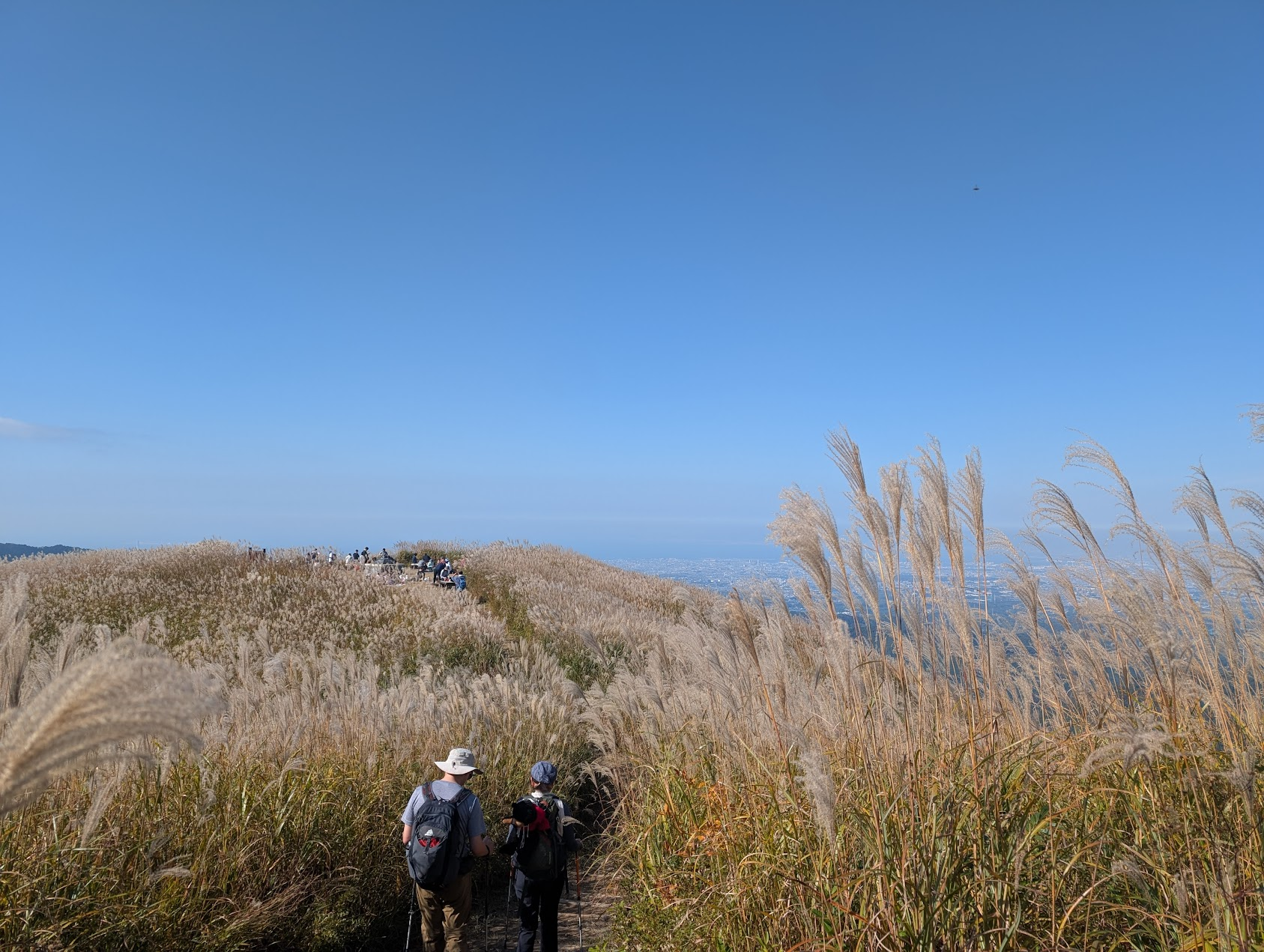 山頂広場が見えてきました。