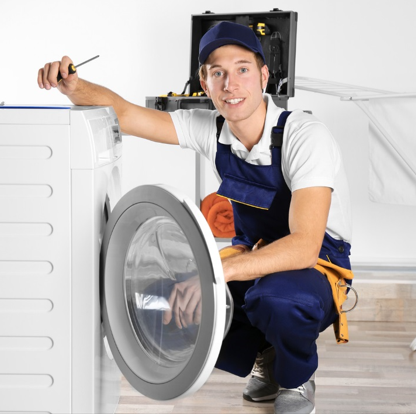 Pest Control Services