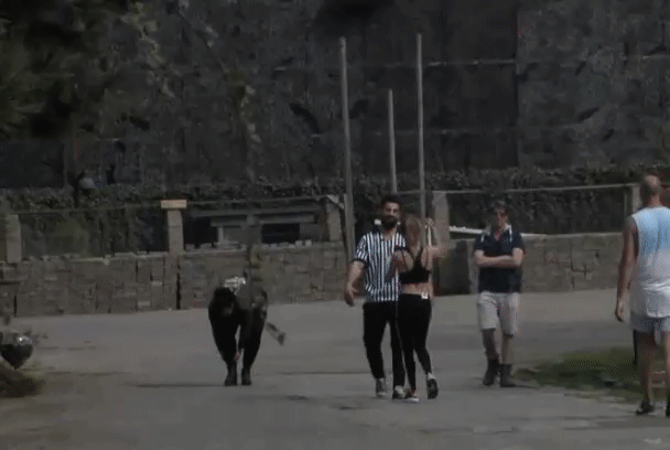 7ae2c1f777a0dd04edf4500225175145.gif