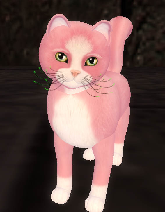 [Image: 7c4f4bcd1d2b0dedcf2849a4bfd93d86.png]