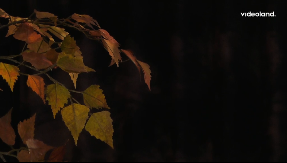 7c9a21e8674bc6addb6a4b771dd30551.png