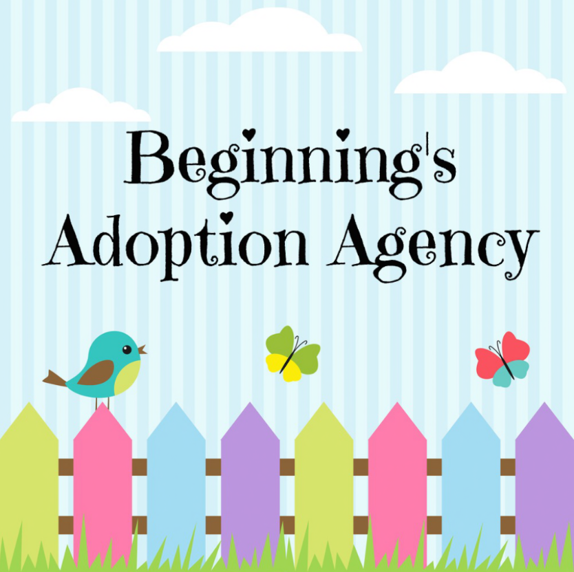 Beginnings Adoption Agency The SL Family Guide