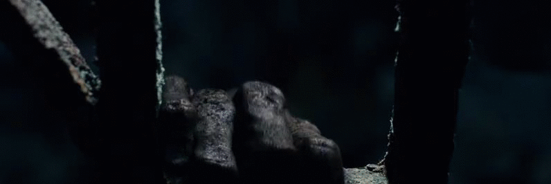7d304dc9b8260a42be2d46093159ebb8.gif