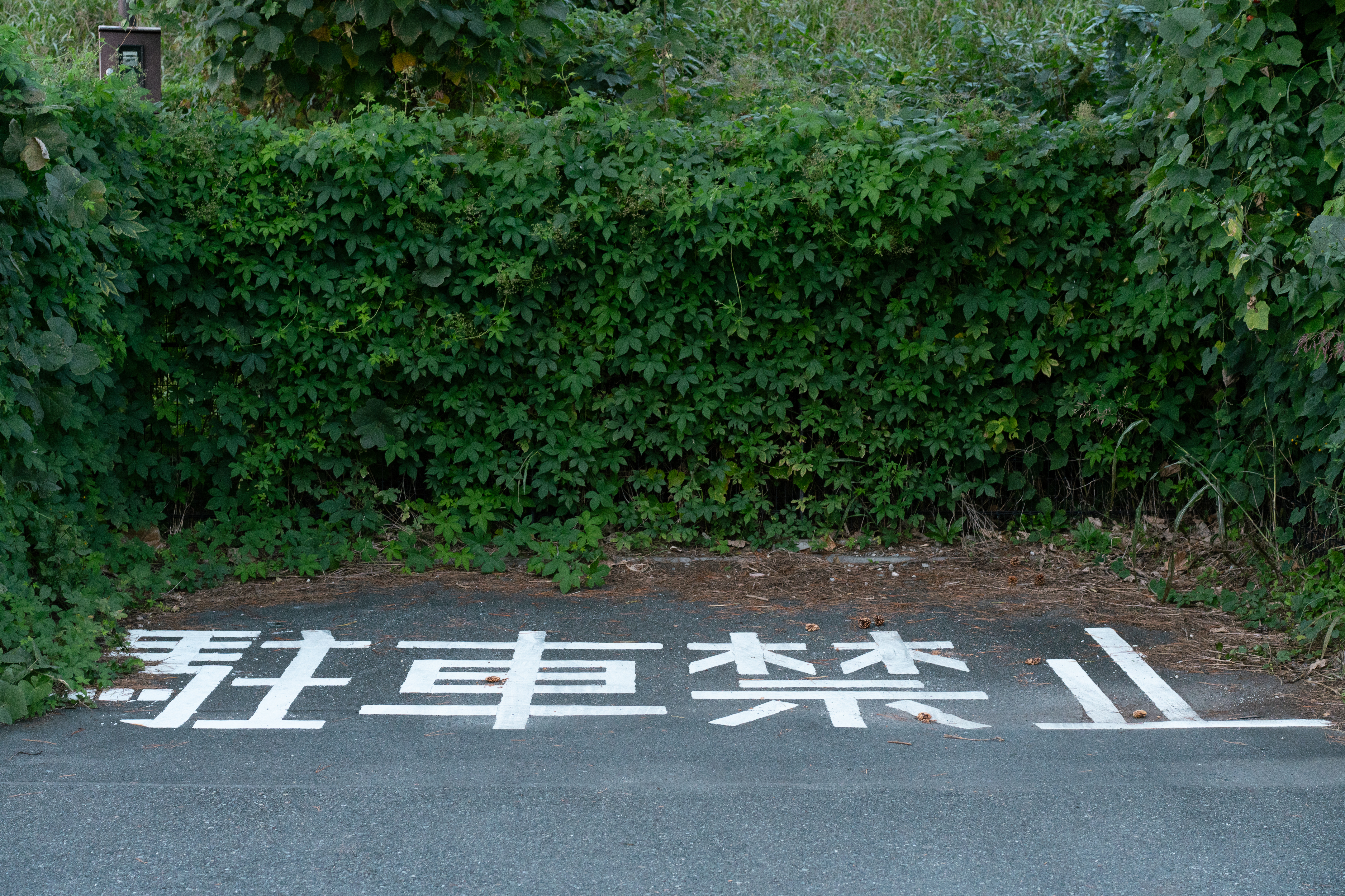 駐車禁止。どうやらUターンするためのスペースらしい