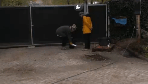 7d8d3191e889f835b9616237669ed9d1.gif