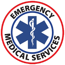 SAEMS Logo