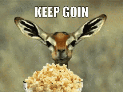7dd3c3cf19a6d7bd88d50a626f253a8c.gif