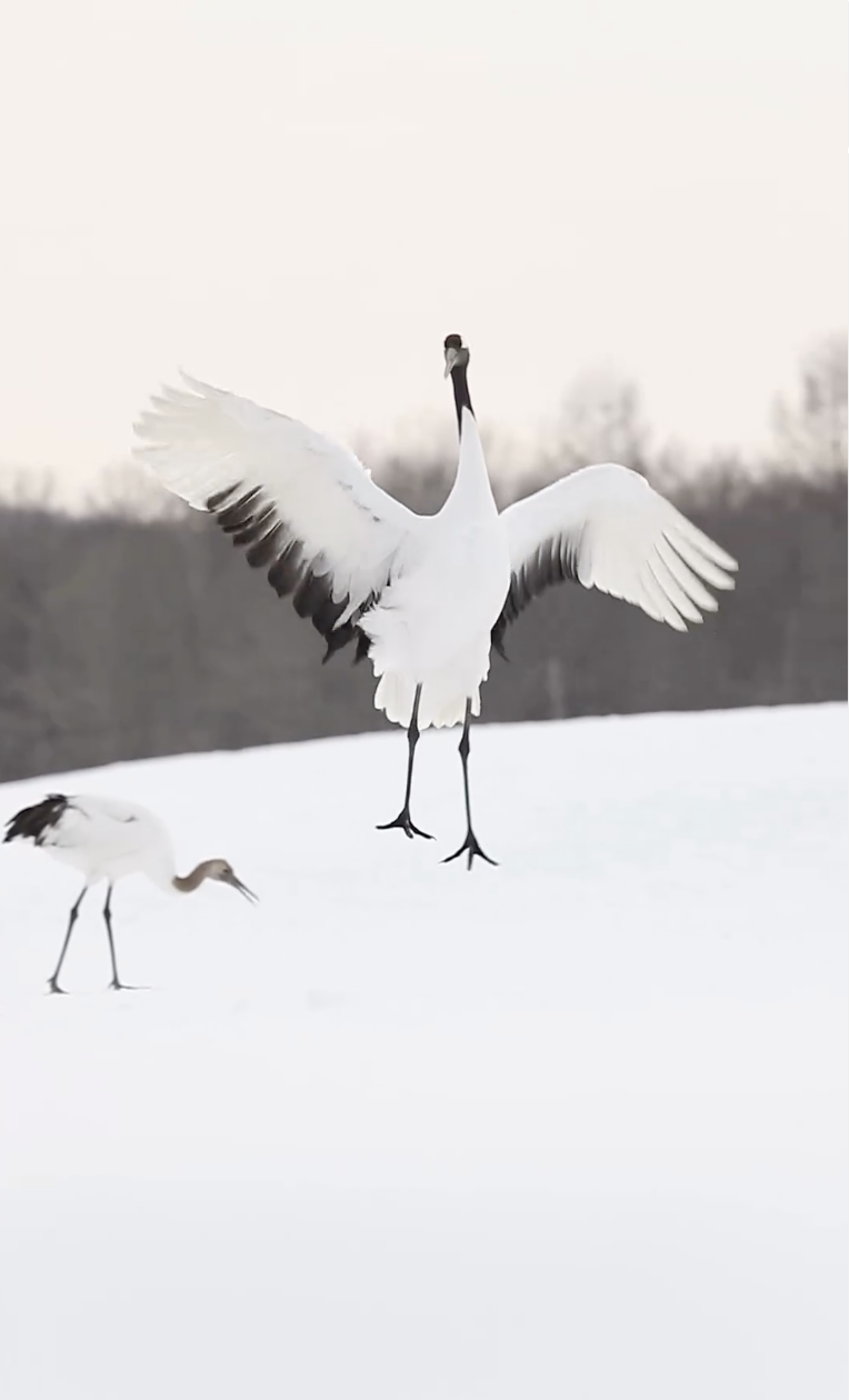 7e29579b2d688dfadc0d97d04c0ba761.png