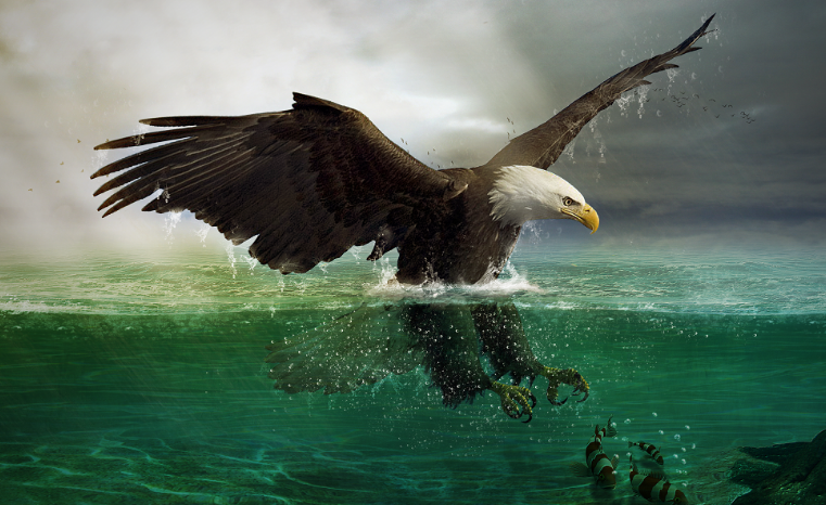 7e31b011664f8705f386830a1e31bd1f.png