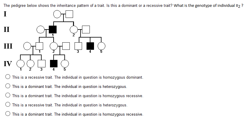 homozygous dominant traits homozygous dominant traits