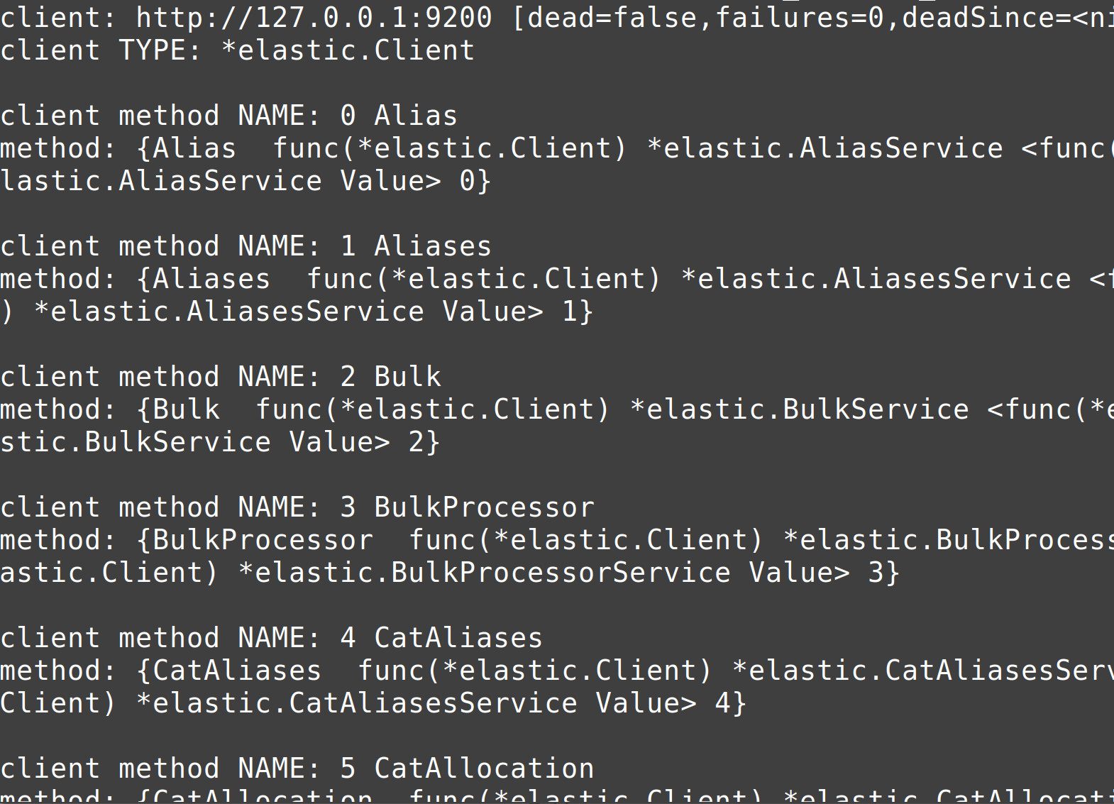 Terminal screenshot of all the Elastic client's attributes in Golang
