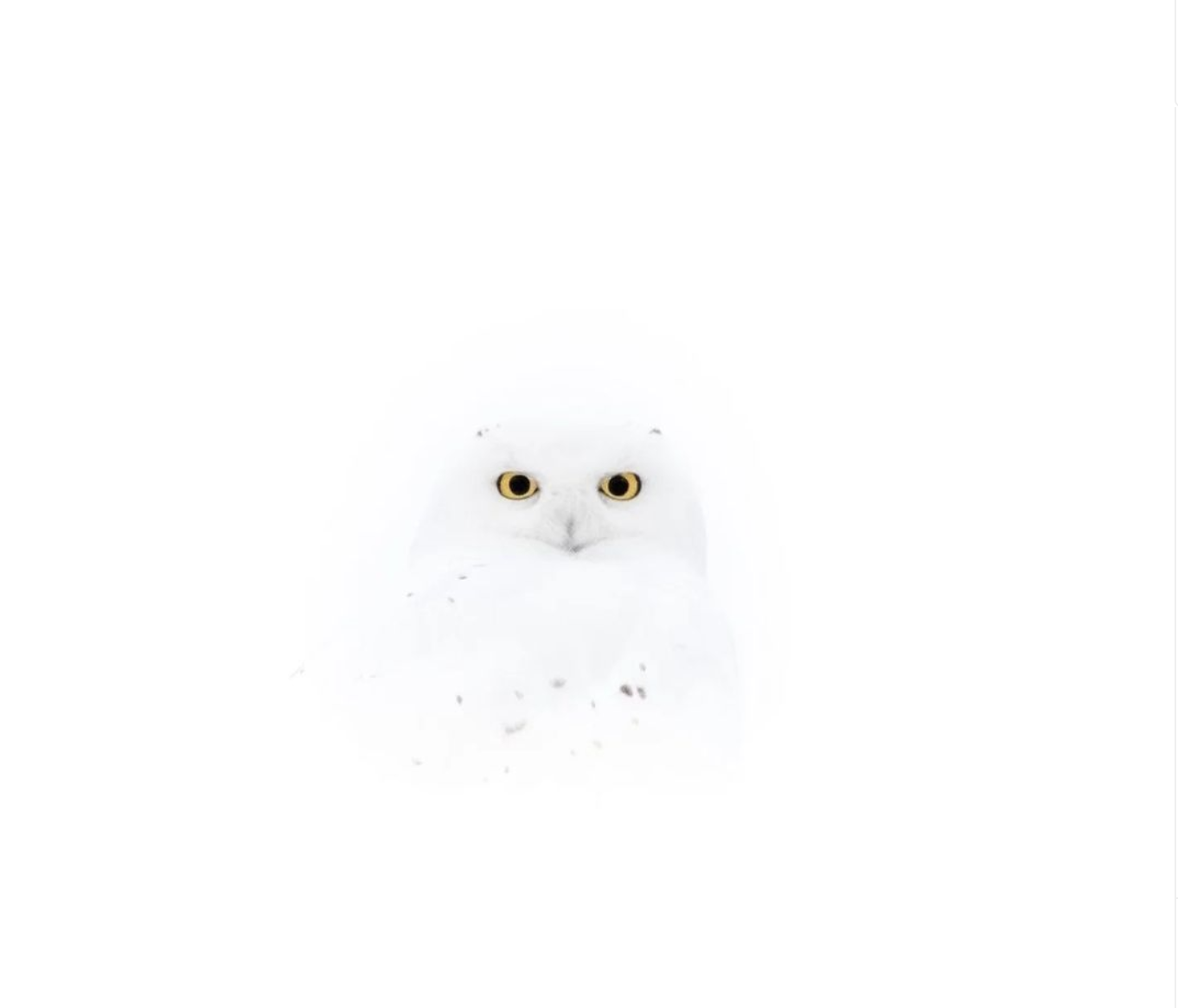 7f2b2e4939b34ab7a422e5412a5825a8.png