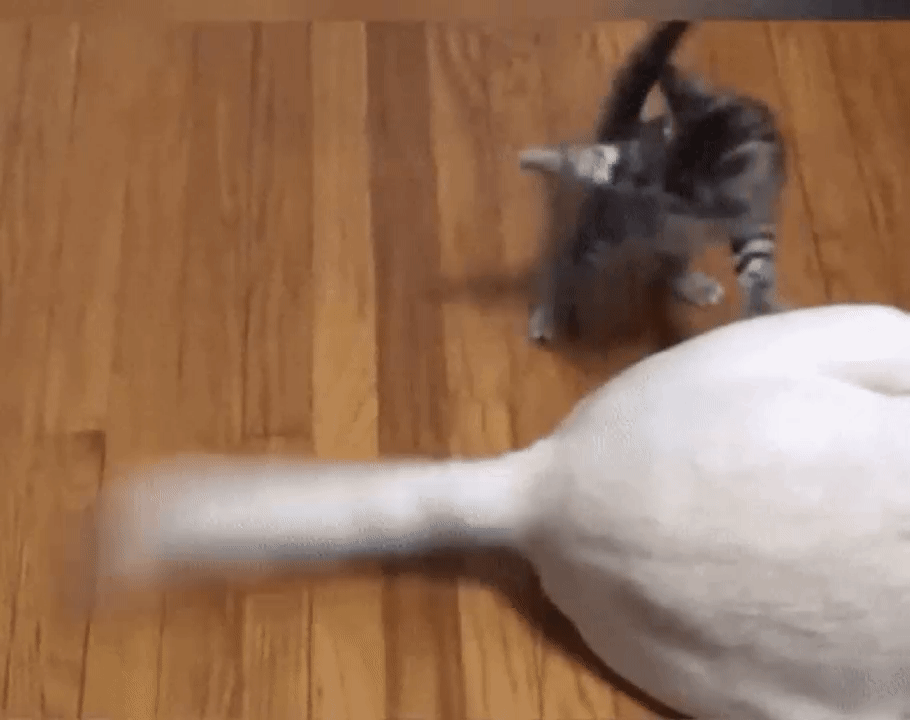 7f498fb4b5467ebf2f72a67932a71ad5.gif