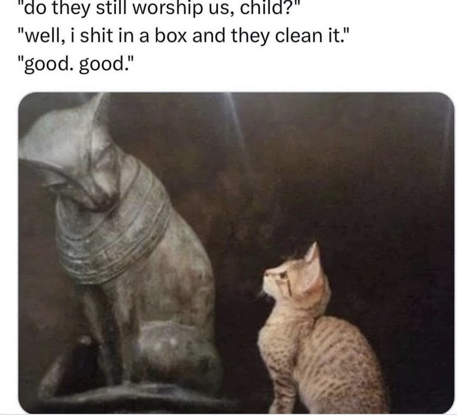 7f7e2062ad6f0969c31989693d44ce07.png