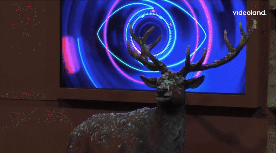 7f8630819ea2ae60533a6eb8b742fa14.gif