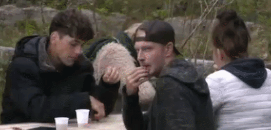 7fdab3eb93462b08ddf139a8d13aa986.gif