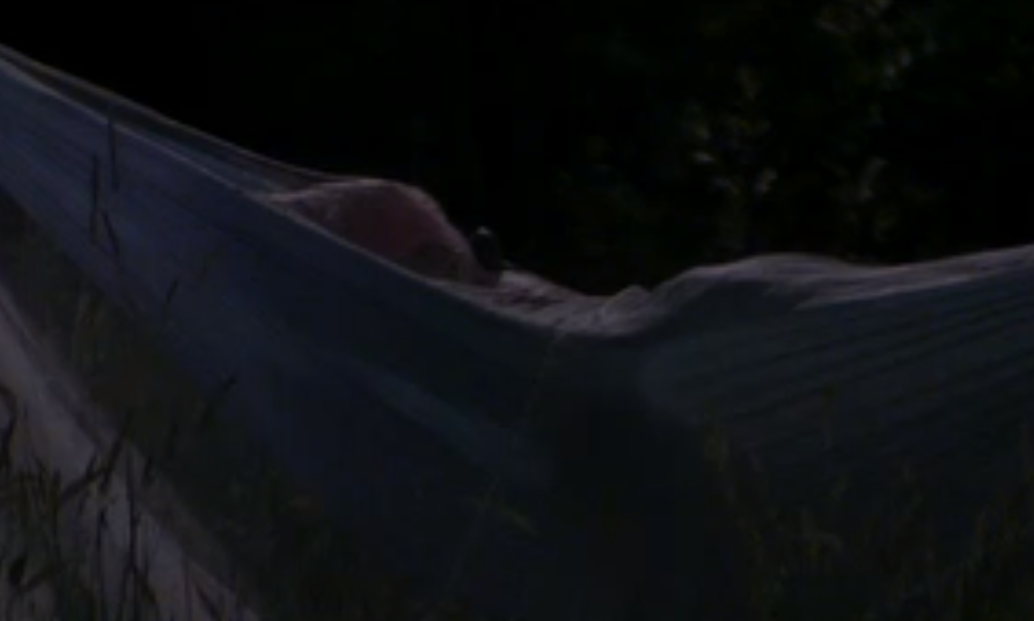 802aecaa6a4a4d3397ff23537b2c2230.png