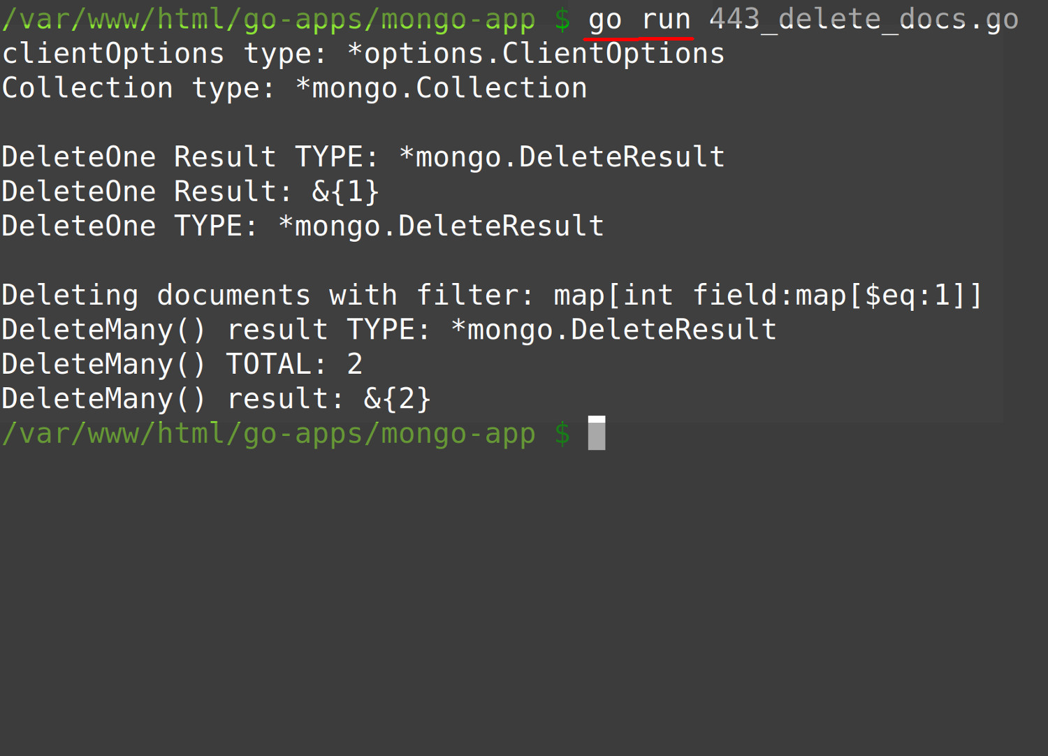 Screenshot of terminal running Go script to delete MongoDB documents in a collection